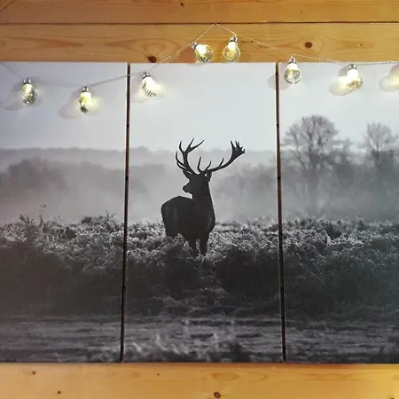 Christelle Et Laeticia בקתה ג'רארדמר